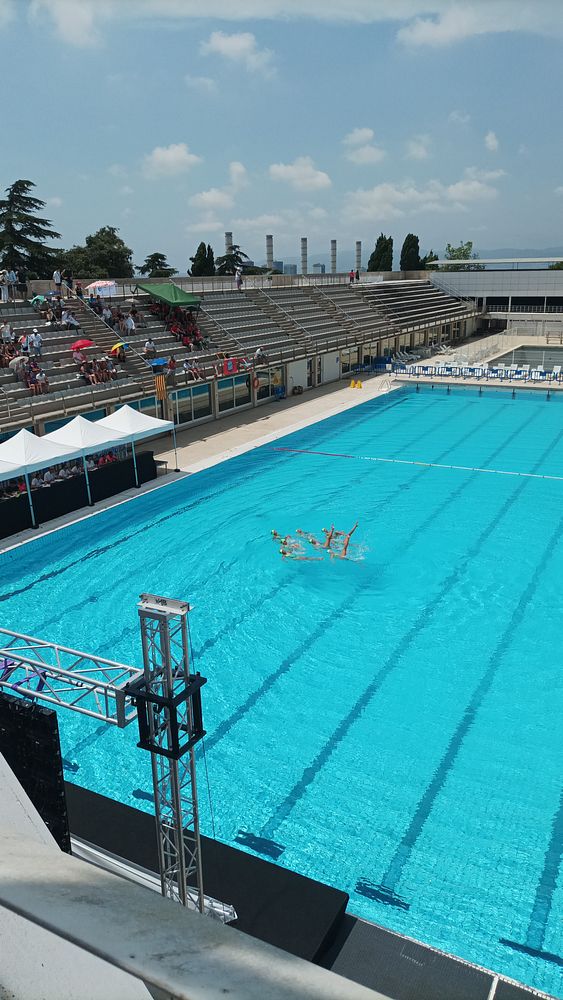 A synchronized swimming competition is taking place in a large outdoor pool.