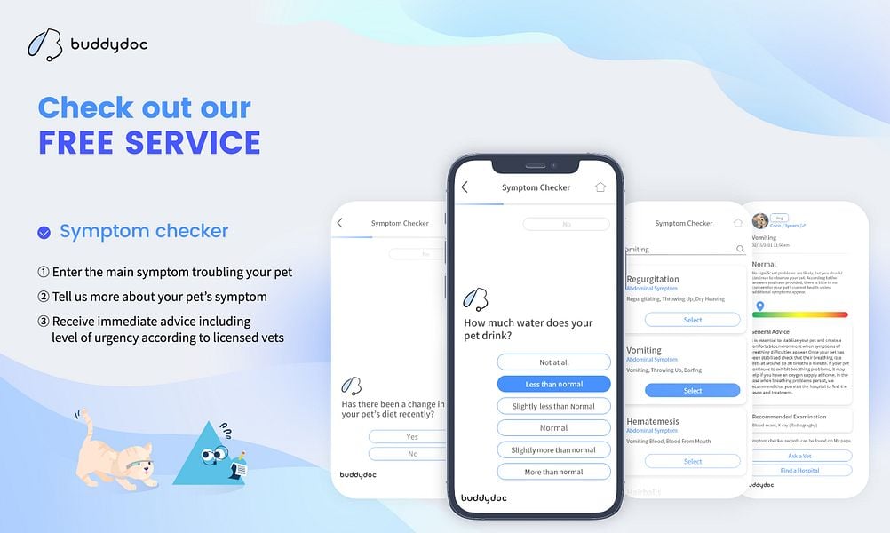 Buddydoc