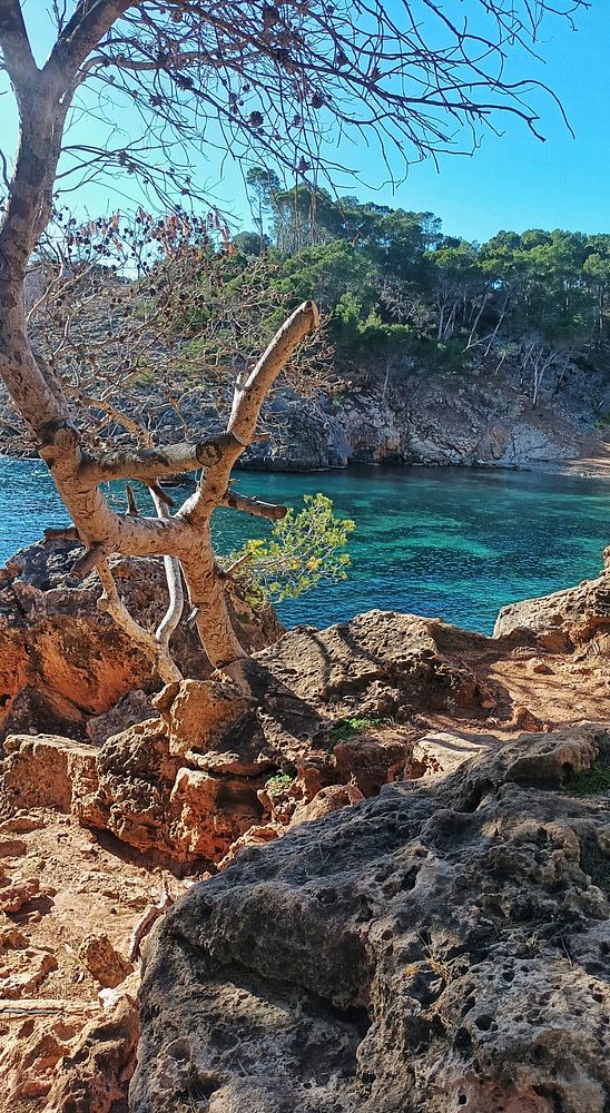 Photograph of a man and a woman hiking along a lush forest trail with a rocky foreground and dense green foliage.