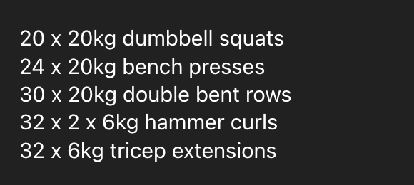 A workout plan for a home gym session featuring various exercises and weights.