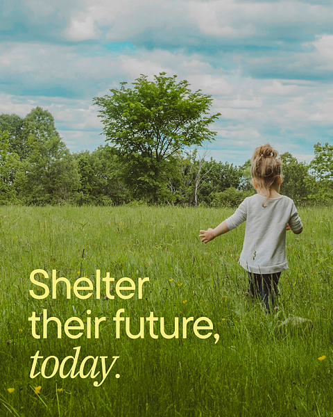 Shelter