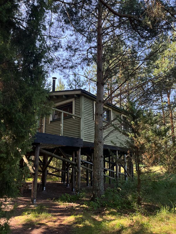 A cozy cabin elevated on stilts amidst a forested area.