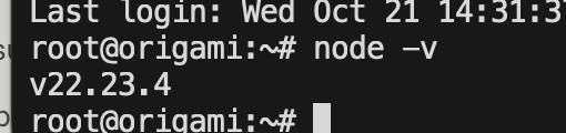 Terminal output showing the Node.js version on a system named 'origami'.