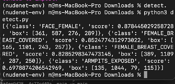 The image displays a terminal window showing the output of a Python script for detecting NSFW content using NudeNet.
