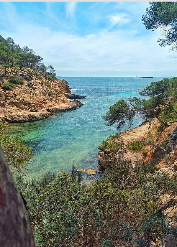 A serene coastal view featuring clear turquoise waters and rocky cliffs surrounded by greenery.