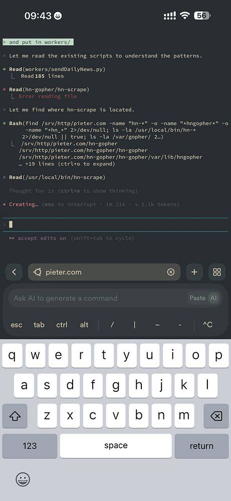 The image displays a terminal interface with a series of commands and outputs related to a programming task.