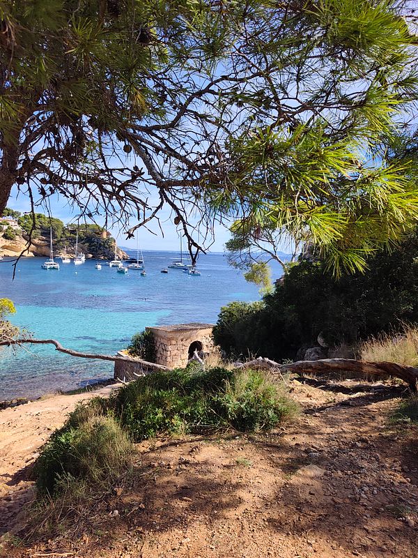 A scenic coastal view through tree branches overlooking a bay with anchored sailboats and clear blue waters.