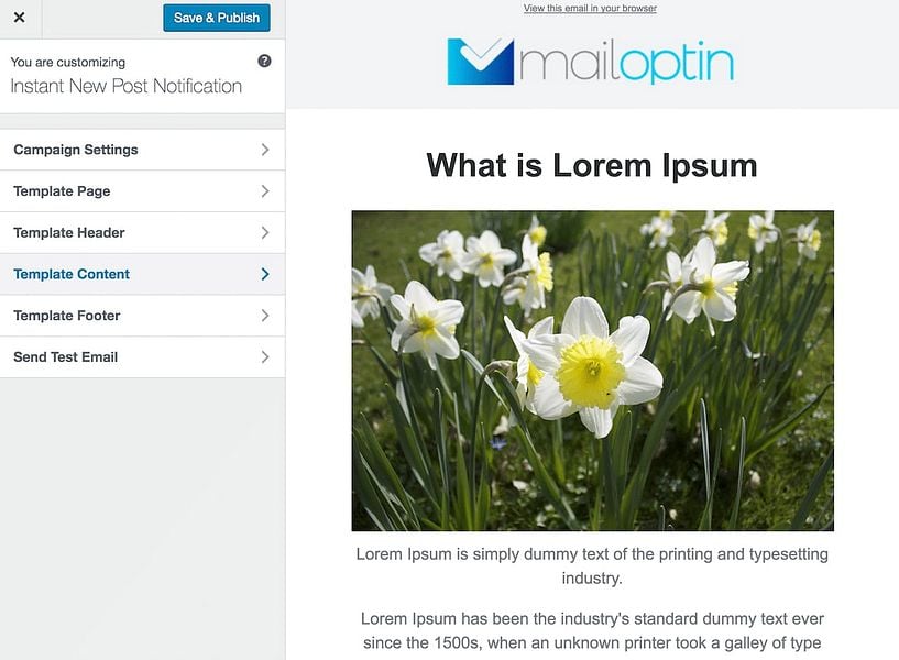 MailOptin