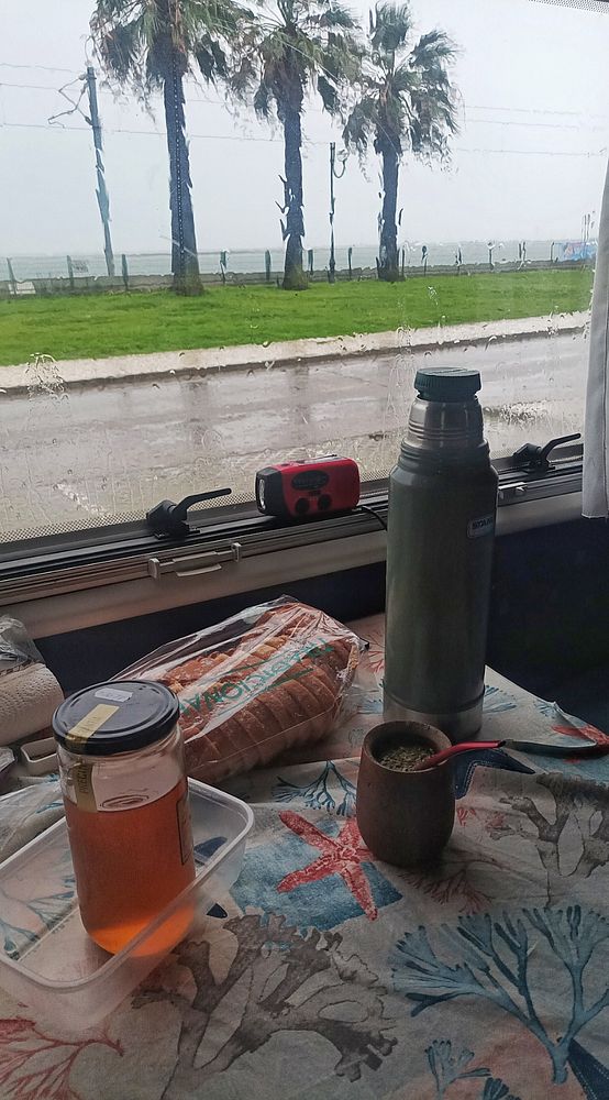 A cozy indoor scene featuring a rainy view of palm trees and the ocean, with a table set for breakfast.
