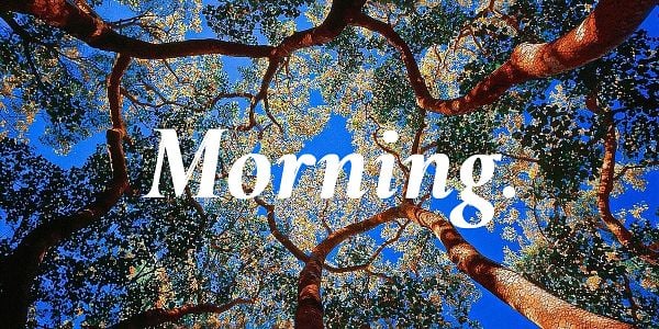 A vibrant view of tree branches against a blue sky with the word 'Morning.' overlaid in a stylish font.