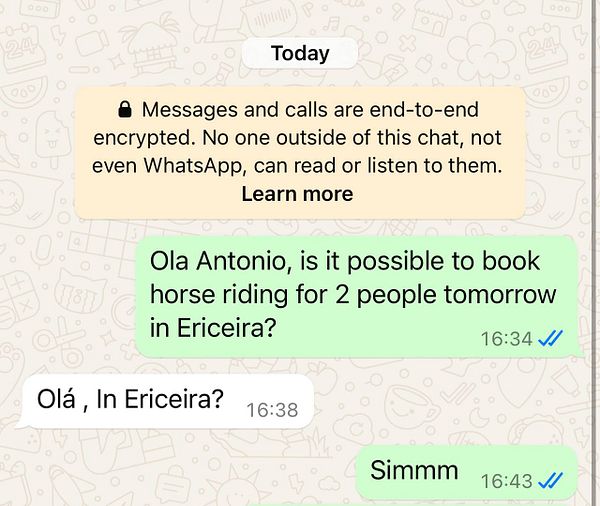 A WhatsApp conversation about booking horse riding in Ericeira for Valentine's Day.