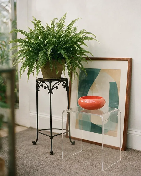 A styled interior vignette features a lush fern in a terracotta pot on a black wrought iron stand, next to a framed abstract print leaning against a white wall. In front sits a clear lucite stool holding a glossy coral bowl, all arranged on a neutral carpet.