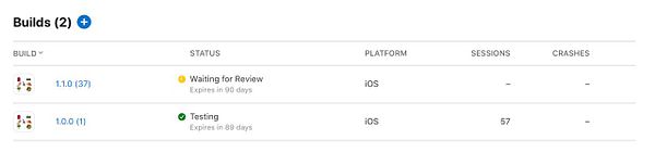 Screenshot of an Apple App Store Connect page for TestFlight app submissions showing the app name, version details, and build status.