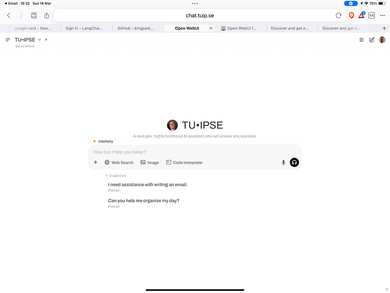 TU•IPSE