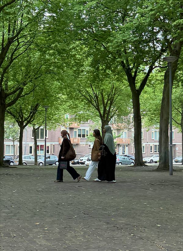 Colorful infographic of Rotterdam population's ethnic diversity in 2022.