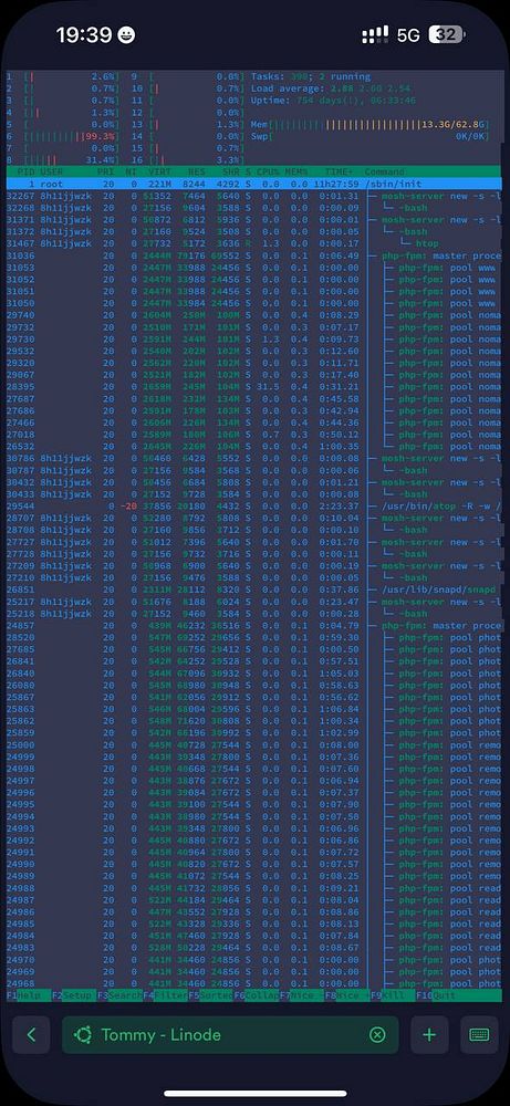The image displays a terminal interface showing system processes on a Linode server.