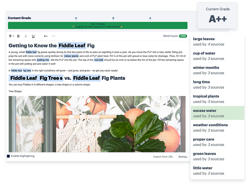 Topic