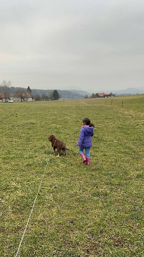 A child walks a dog in a grassy field under a cloudy sky.