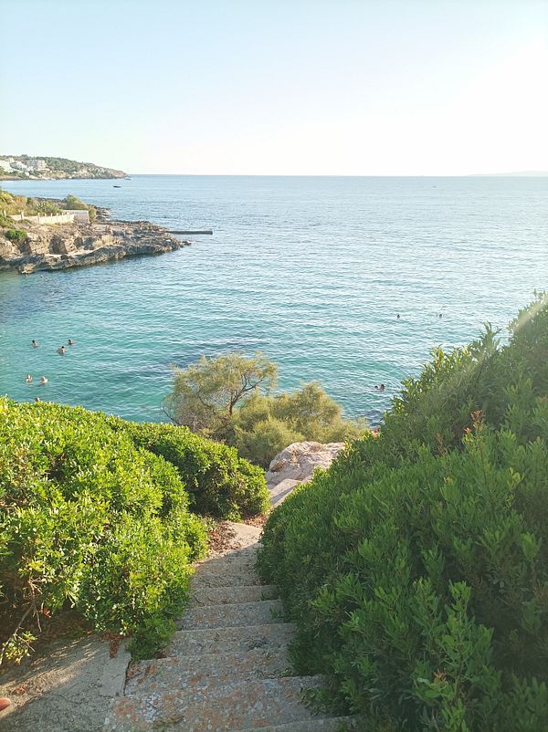 A scenic view of a coastal area with steps leading down to the water, surrounded by greenery.