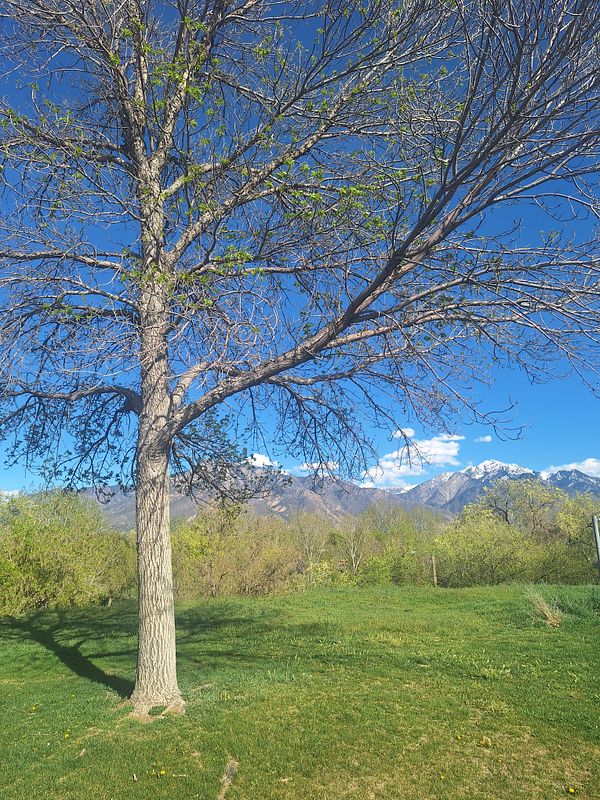 Person sitting on stone steps outdoors reading a book with a backpack nearby under natural light.