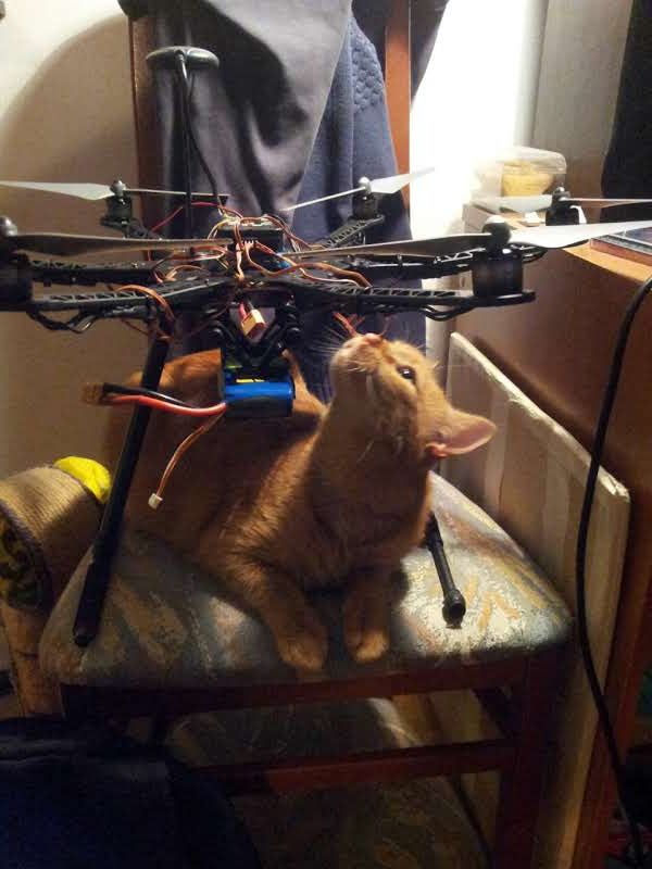 An orange cat is curiously interacting with a drone on a chair.