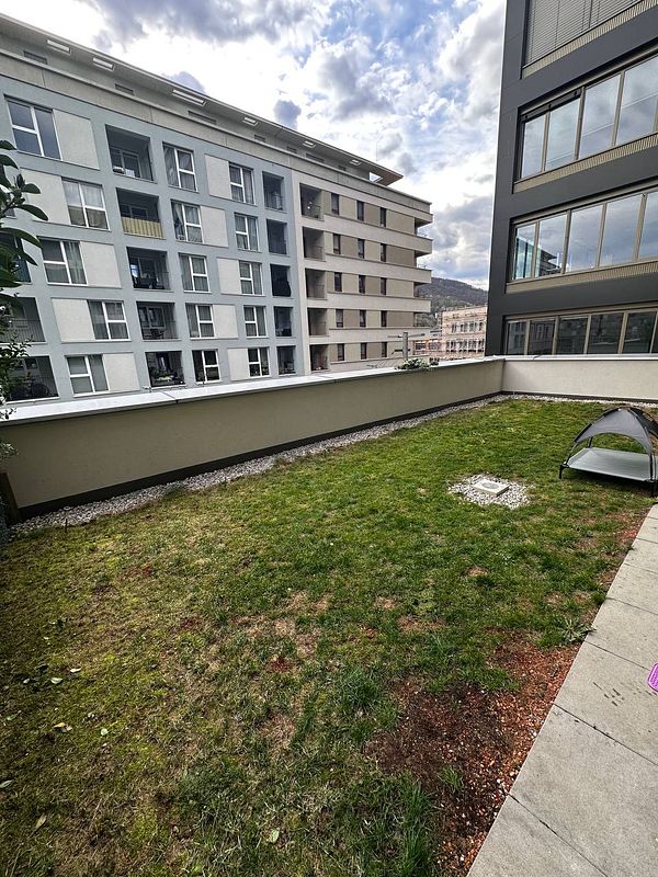A small lawn area surrounded by modern apartment buildings.