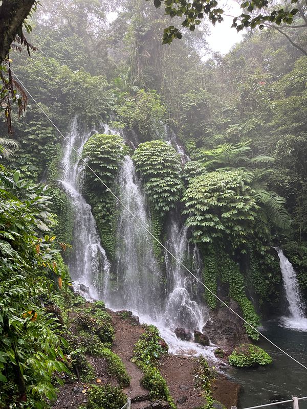 A lush waterfall surrounded by dense tropical vegetation in Bali.