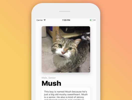 MeowSwipe