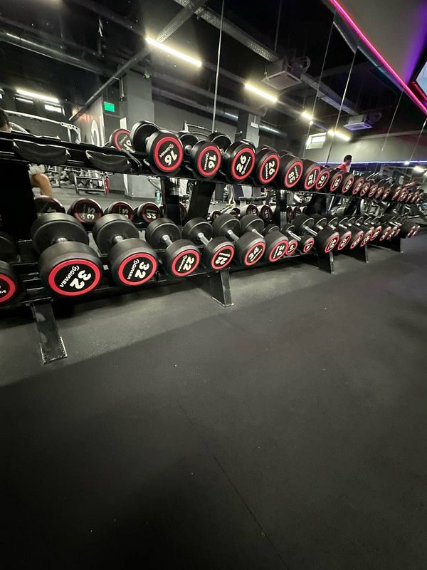 A well-organized rack of dumbbells in a gym setting.