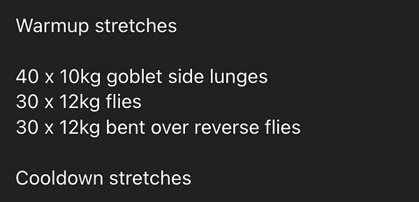 A workout plan detailing warmup and cooldown stretches along with specific exercises.