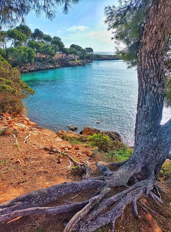 A scenic view of a tranquil bay surrounded by trees and rocky terrain.