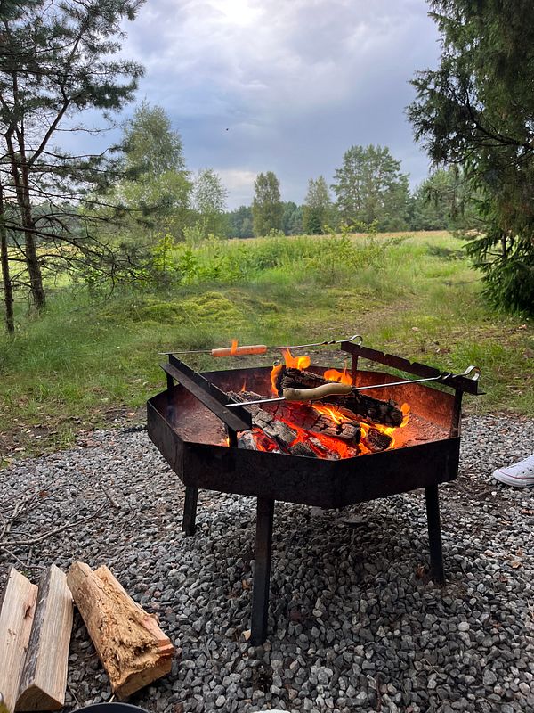 A cozy outdoor scene featuring a fire pit surrounded by nature.