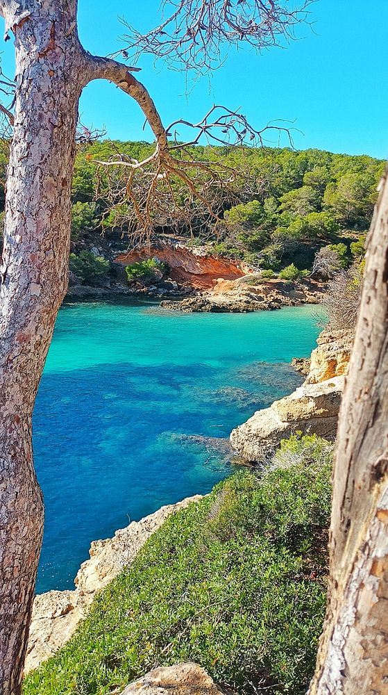 A scenic coastal view featuring turquoise waters and lush greenery.