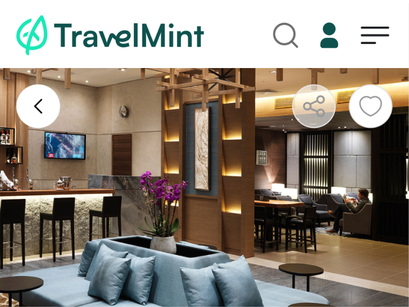 TravelMint