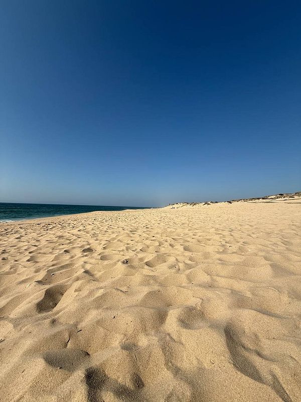 A serene view of Comporta beach featuring soft sand and a clear blue sky.