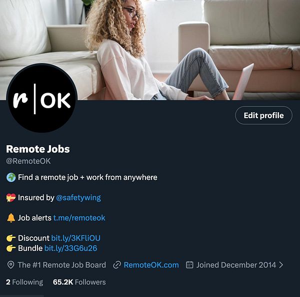 Screenshot of a user profile bio section on the Remote OK website with HTML code for an image and a description text area.