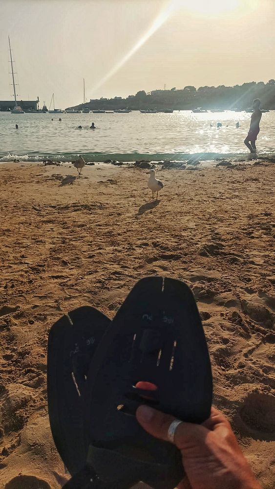 A beach scene with a person holding flip-flops, seagulls nearby, and swimmers in the water.