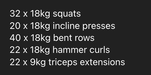 A workout plan detailing various exercises with specified weights and repetitions.