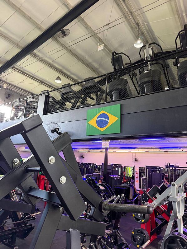 Interior of a bright, modern gym with exercise equipment and large windows overlooking a green outdoor area.