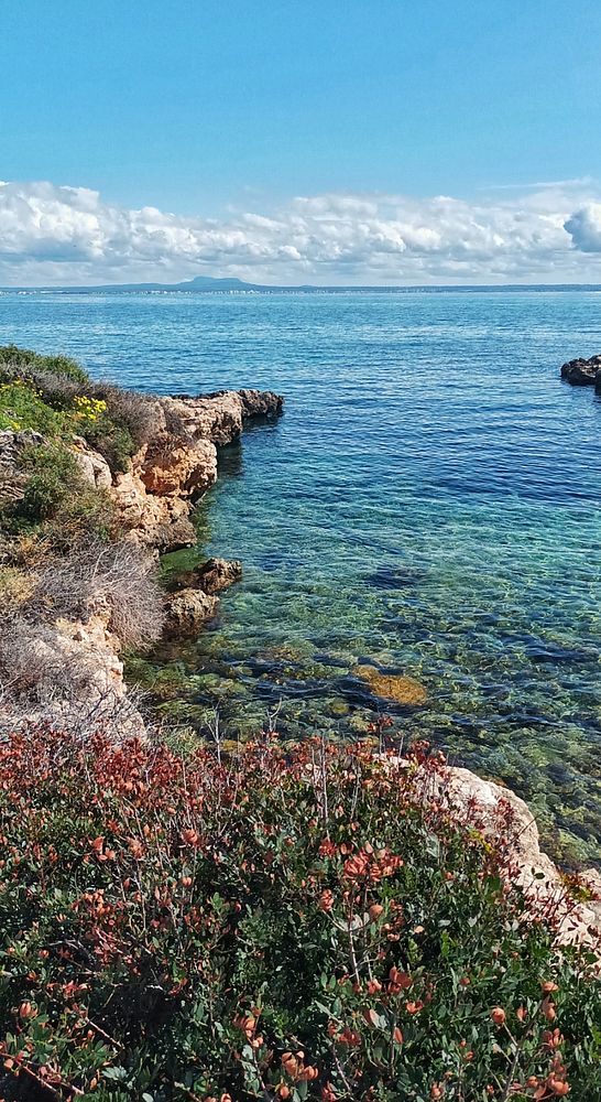 A couple hiking together on a forest trail surrounded by greenery under a bright sky.