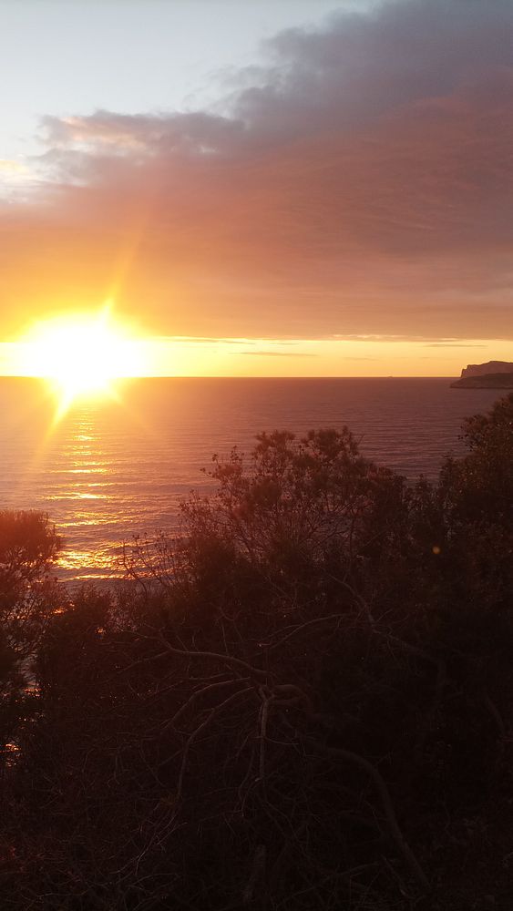 A serene sunset landscape featuring silhouetted trees and a soft glow over a misty field.