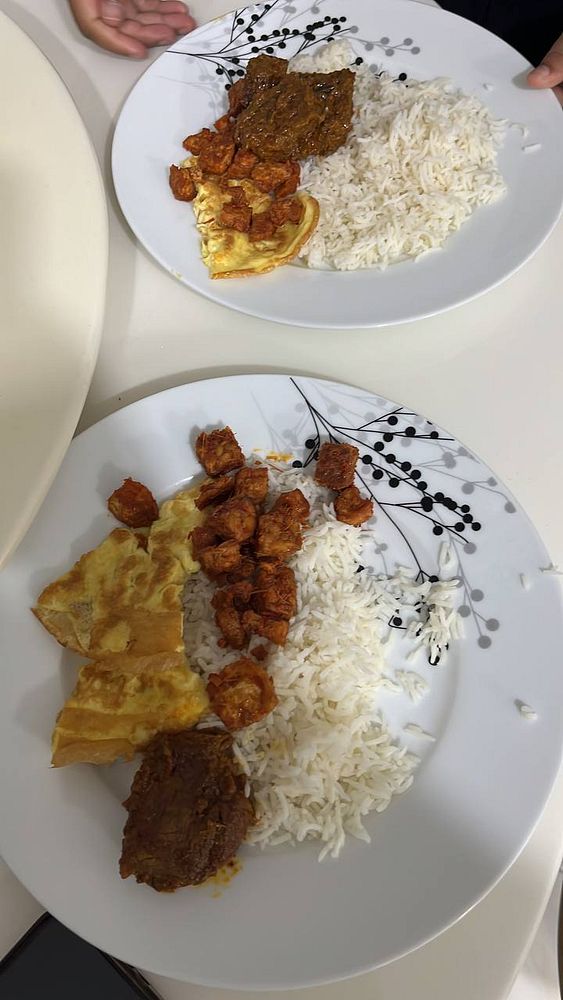 Two plates of home-cooked food featuring rice, meat, and vegetables.