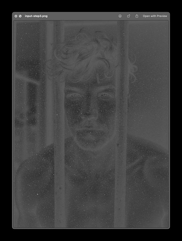 A grayscale alpha map of a photo featuring a person with curly hair behind bars.