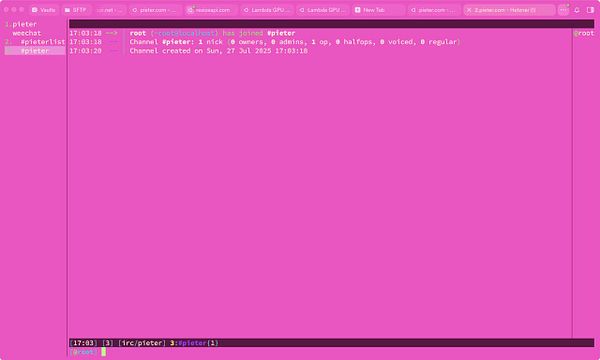The image displays an IRC client interface showing a chat channel named #pieter.