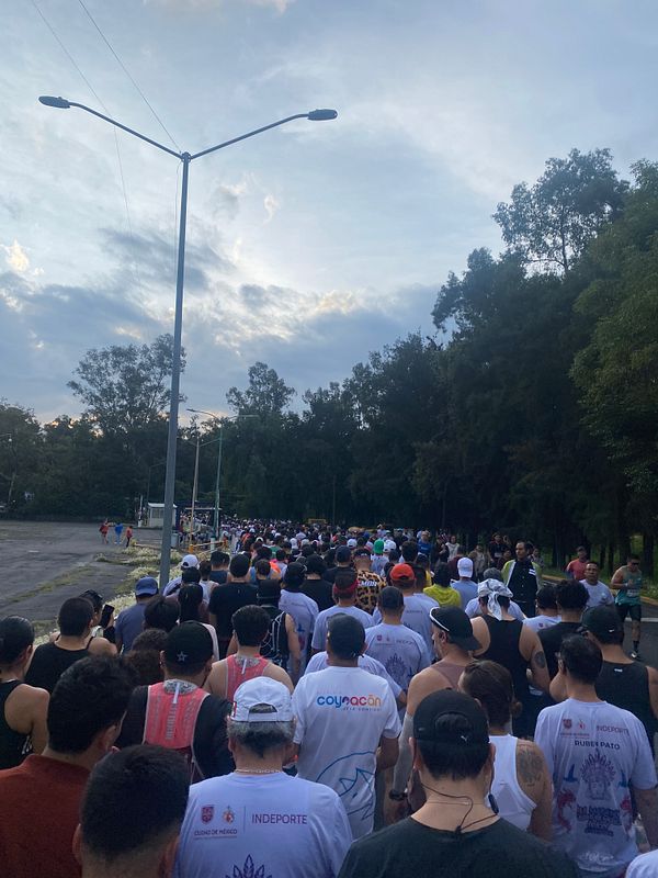 A large group of runners is participating in a marathon in Mexico City, surrounded by trees and a cloudy sky.