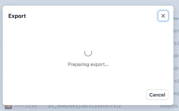 Screenshot of a browser window displaying a Stripe transactions report with anonymized data for 2023 and 2024 and navigation elements.