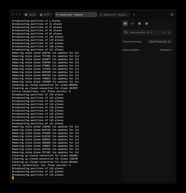 The image displays a terminal interface showing logs related to WebSocket connections for a server.