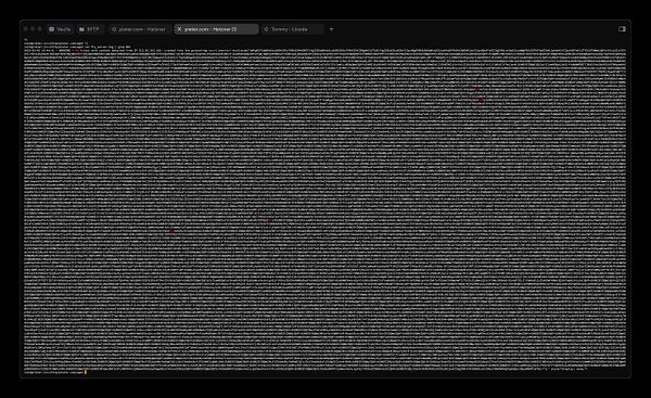 A terminal window displaying a log file with obfuscated data and some highlighted elements.
