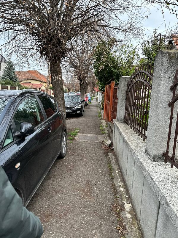 A residential street lined with parked cars and bare trees on a cloudy day.