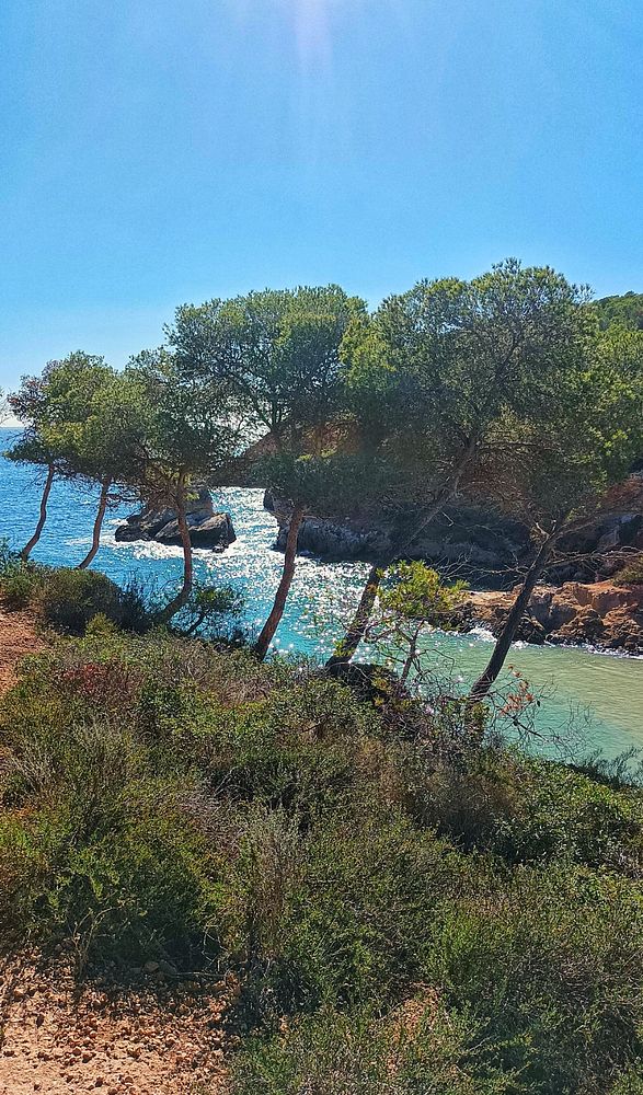 A scenic coastal view featuring trees and clear blue water.